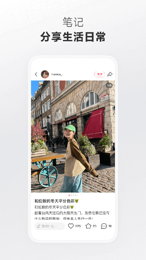 柯基爪印生藤缠水晶极光树壁纸